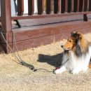 하이파이브 독스 이미지