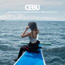 퍼플오션 | 세부 다이빙 샵 추천 오픈워터 어드벤스드 퍼플오션다이브 후기