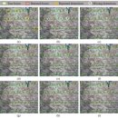 간성농장 | 1.7MB 초경량 모델, 저사양 기기로 옥수수 묘 실시간 정밀 관제