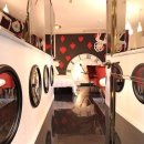 호텔더디자이너스 종로 이미지