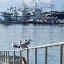 용궁건어물센타 이미지