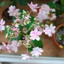 대곡빅마트 이미지