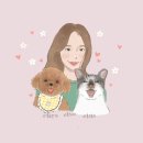 신안동물병원 이미지