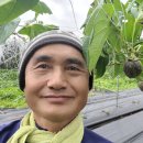 황금 행정사 사무소 이미지