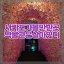 박물관은살아있다 | 서귀포 가볼만한 곳 박물관은 살아있다 제주 간단후기