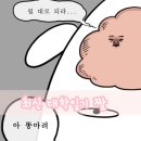 판다중식 이미지