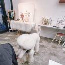 (주)한국반려동물아카데미 | #반려견,묘 패션아이템(with 한국반려동물아카데미)