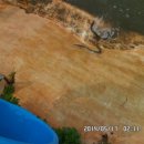 파주민물 이미지