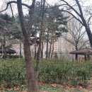 문래근린공원(1) 네이버블로그