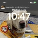 채*식