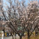 가장 추워 본 사람이 사랑을 안다(항상 마지막이라는 마음으로 탈고)Ⅱ 이미지