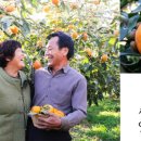 감나무집 이미지