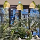 디저트39 남원춘향점 이미지