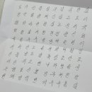 염*선