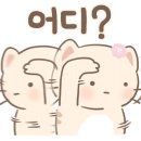 두리그루밍 이미지