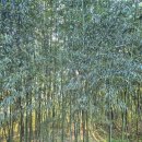 선바위 휴게소 | [울산 가볼만한곳]가을에 더 좋은 울주군선바위공원