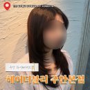 고도헤어 | 주안 하이 레이어드컷 맛집 | 헤어더블리 주안본점 설화 디자이너님 인천헤어컨설팅 후기