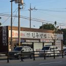 7207 | 대전 성남동 냉면 맛집 진주냉면 내돈내산