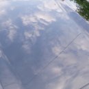 라엘카케어 이미지