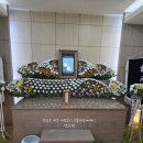 정인의전 - 김포시 김포대로 340 | 정인의전