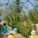 동일숲어린이집 이미지