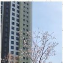 홈런부동산공인중개사사무소 이미지