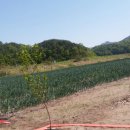 도곡2리 마을회관 이미지