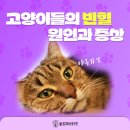 봉곡동물병원 이미지