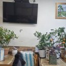 대박가마솥국밥 이미지