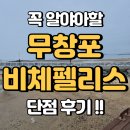 펠리스 | 비체펠리스 스위트 단점 장점 후기 4살 아기랑