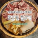 사천개로 | 충주맛집》 충주 호암동 돼지 특수부위 참숯구이 맛집 : 불구멍
