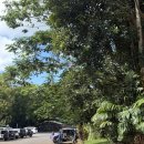 주립2농장 | 하와이 빅아일랜드 숨은 관광명소! 아카카폭포 후기