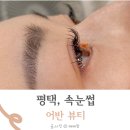 평택 비전동 속눈썹 연장 어반뷰티 방문 후기