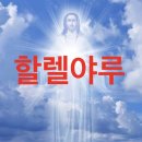 명월민박 - 서귀포시 독자봉로60번길 182 | 중국, 칭다오