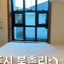 오랜제주 선화집 이미지