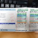 빛가람곤충