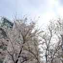 (주)에이에이치큐브 | 출산까지 D-8 에이치큐브와 함께한 임신기간 돌아보기