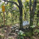 10/4[토] 광주 금당산(명산100+)+최고봉+호남정맥 중간지점-산행안내/좌석표 이미지