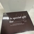 코지 | 시라쿠스 메이플 코지그레이 식기 후기