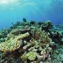 동아유지 이미지