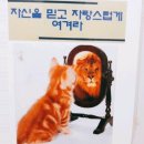 카페반디나무 이미지