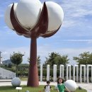 이불나라. 길목 | [솔직후기] 목포 고하도 목화체험장, 아이와 함께 즐기는 특별한 역사·문화 체험 공간