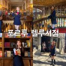렐루서점 실버 티켓 예약 기념품 혼자 포르투 여행 코스