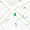 요미독 강아지분양 요미캣 고양이분양 목동점 이미지