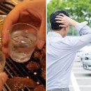 부천식당 이미지