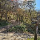 조성보건지소 화장실 | 옥천 살아보기 4일차-둔주봉 한반도 지형 전망대