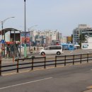 밀 마당 이미지