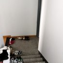 서울면동초등학교 이미지