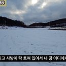 G1136 이미지