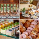 달콤한 오후 | 달콤한 오후의 여유, 애프터눈 티 &amp; 디저트 뷔페 완벽 후기